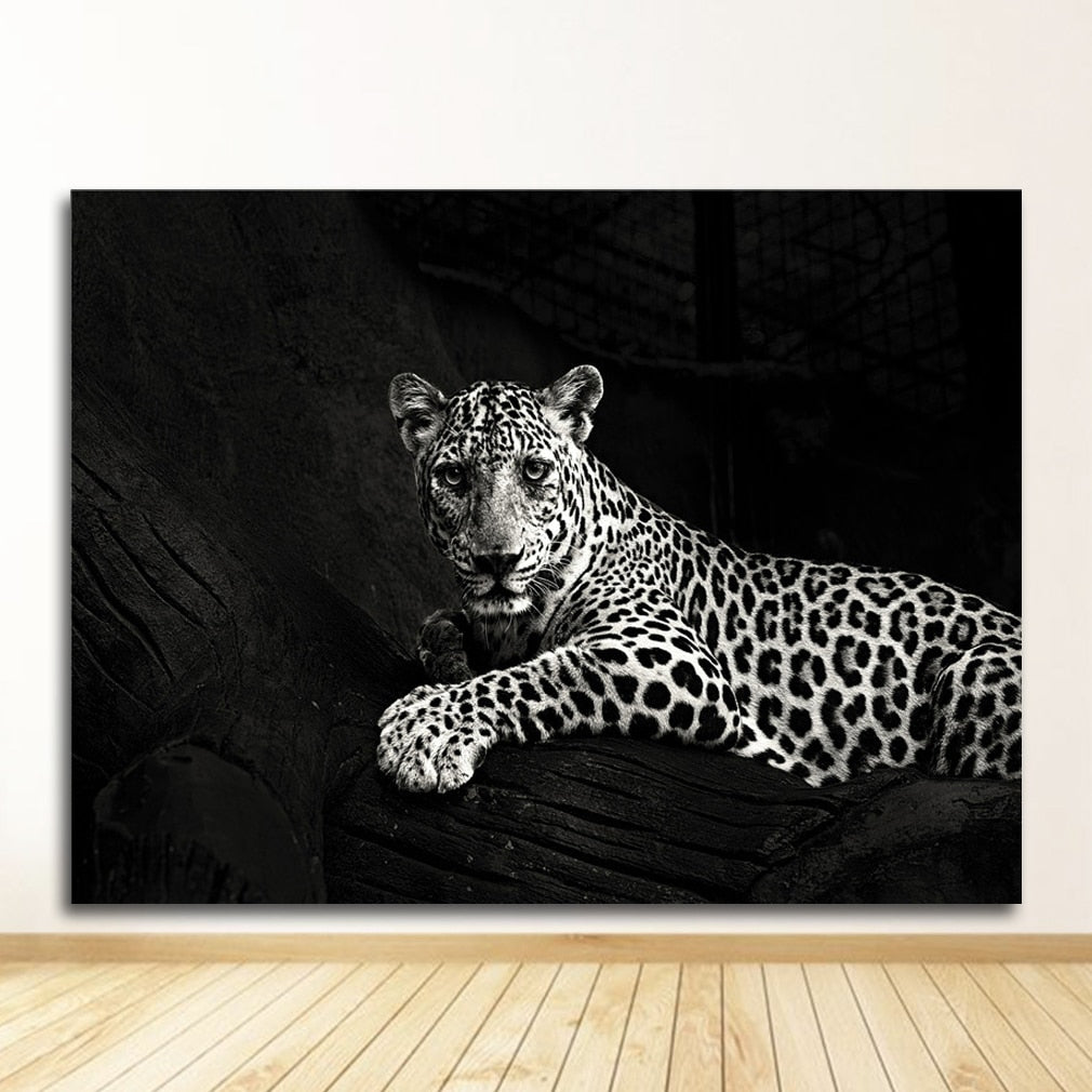 CORX Designs - Black and White Animal Wall Art Canvas - Review