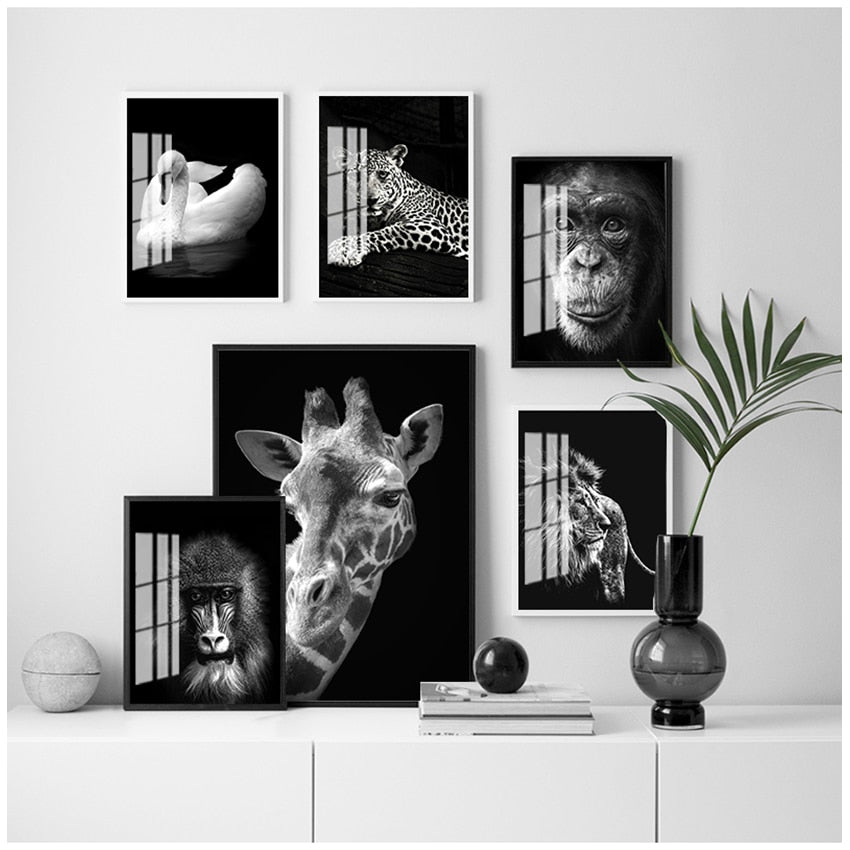 CORX Designs - Black and White Animal Wall Art Canvas - Review
