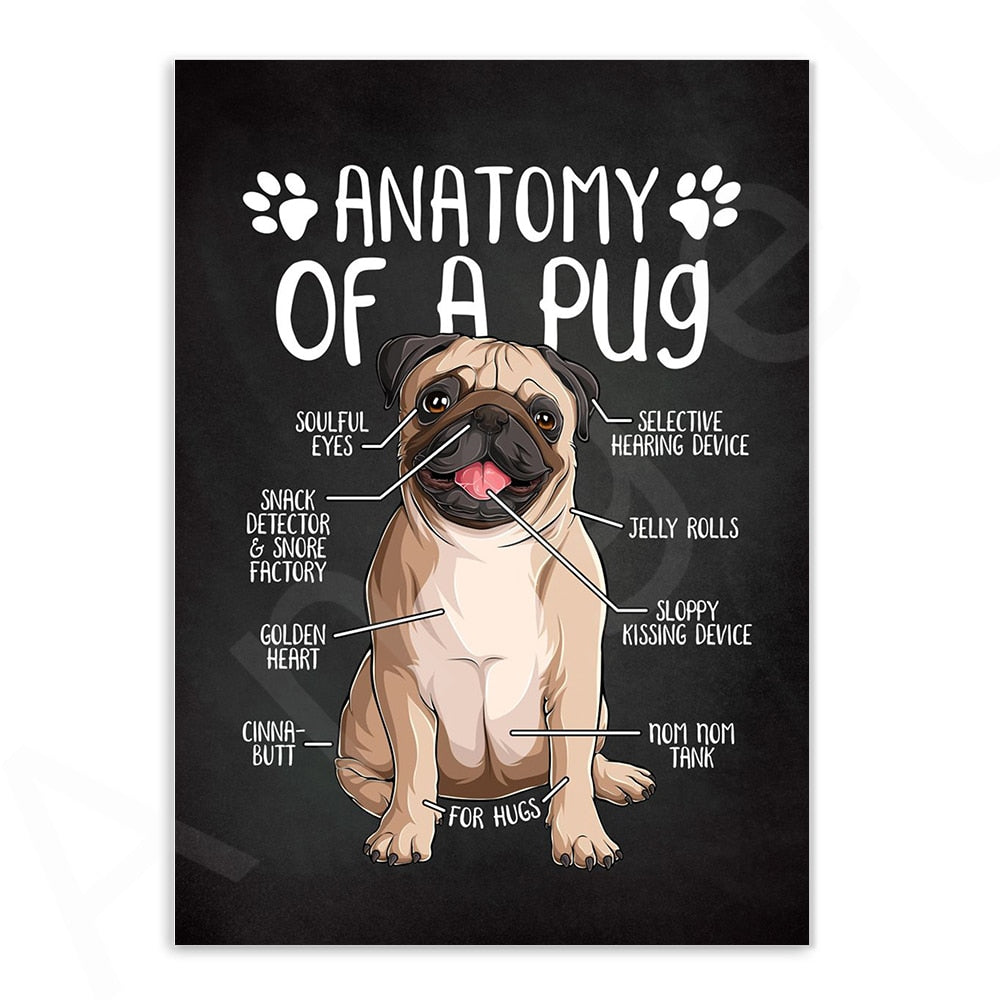 CORX Designs - Anatomy of Dogs Canvas Art - Review