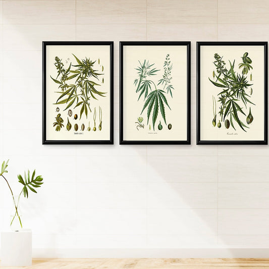 CORX Designs - Herb Weed Botanical Vintage Canvas Art - Review