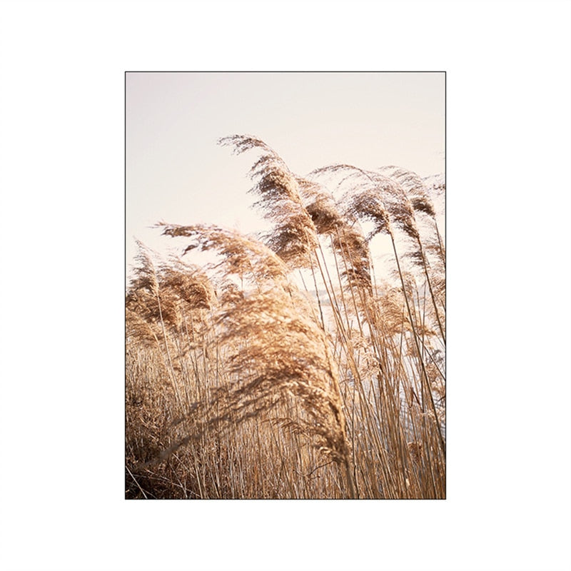 CORX Designs - Autumn Sunlight Landscape Canvas Art - Review