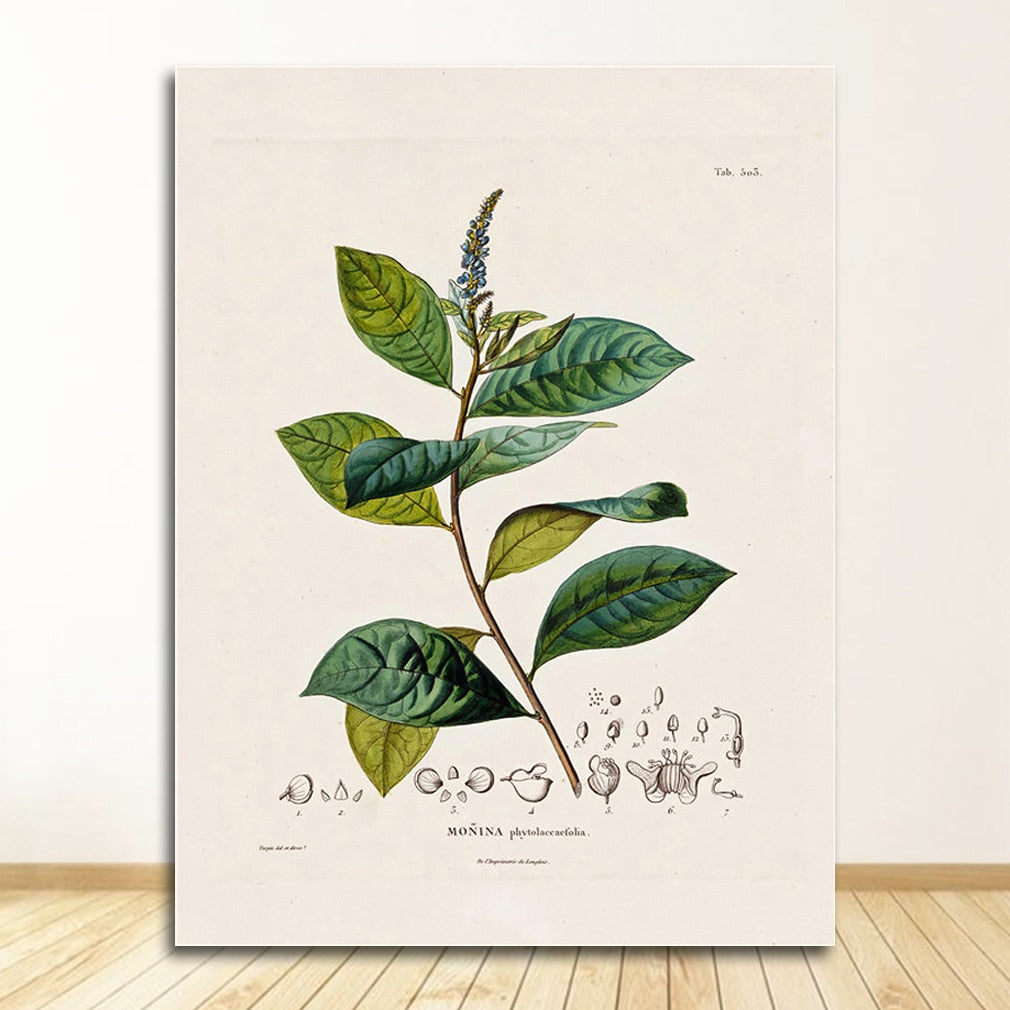 CORX Designs - Botanical Studies Wall Art Canvas - Review