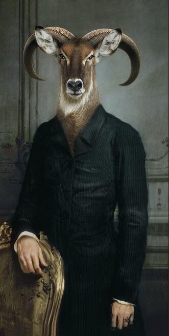 CORX Designs - Earl of the Goat Canvas Art - Review
