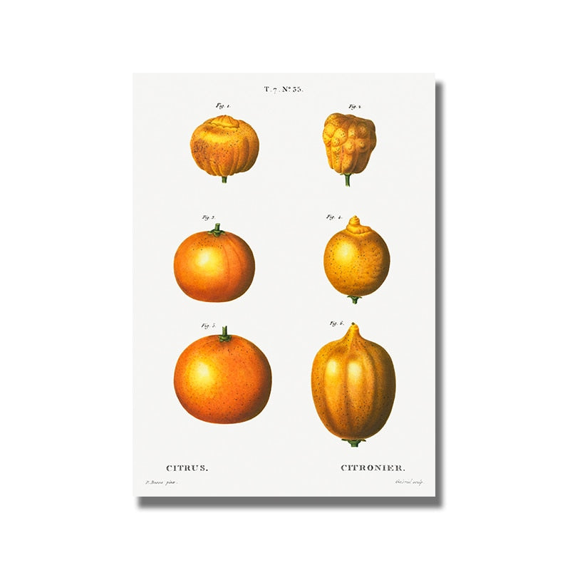 CORX Designs - Fruit Pomegranate Cherry Grape Pear Canvas Art - Review