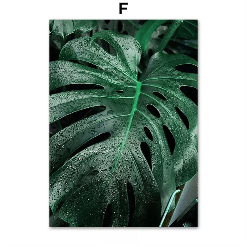 CORX Designs - Animal in Tropical Rainforest Canvas Art - Review