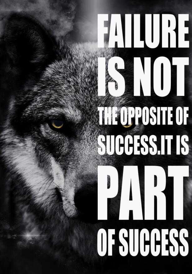 CORX Designs - Animal Inspirational Quotes Canvas Art - Review