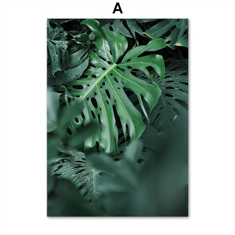 CORX Designs - Animal in Tropical Rainforest Canvas Art - Review
