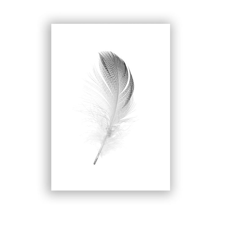 CORX Designs - Black And White Dandelion Canvas Art - Review