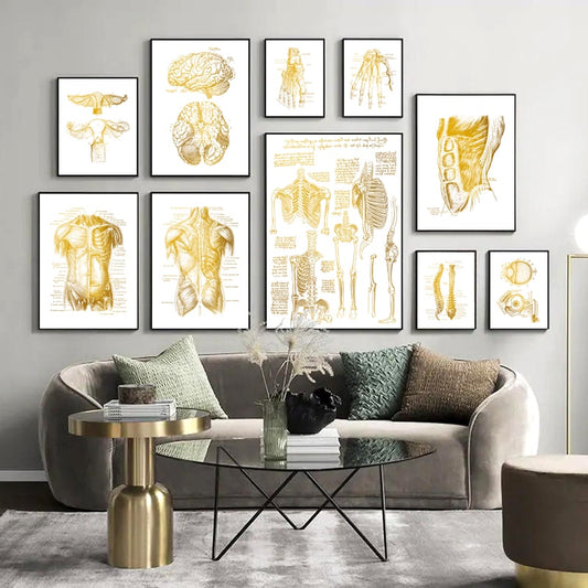 CORX Designs - Gold Human Anatomy Canvas Art - Review