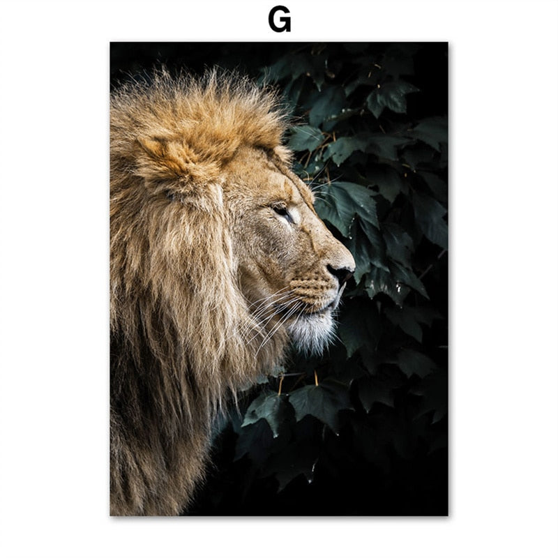 CORX Designs - Animal in Tropical Rainforest Canvas Art - Review