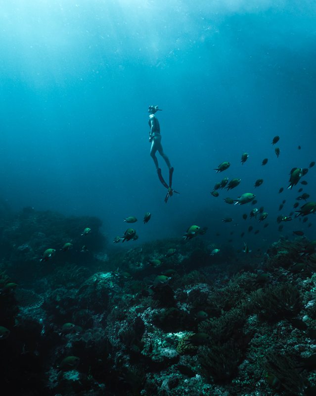 CORX Designs - Blue Ocean Diving Goddess Canvas Art - Review