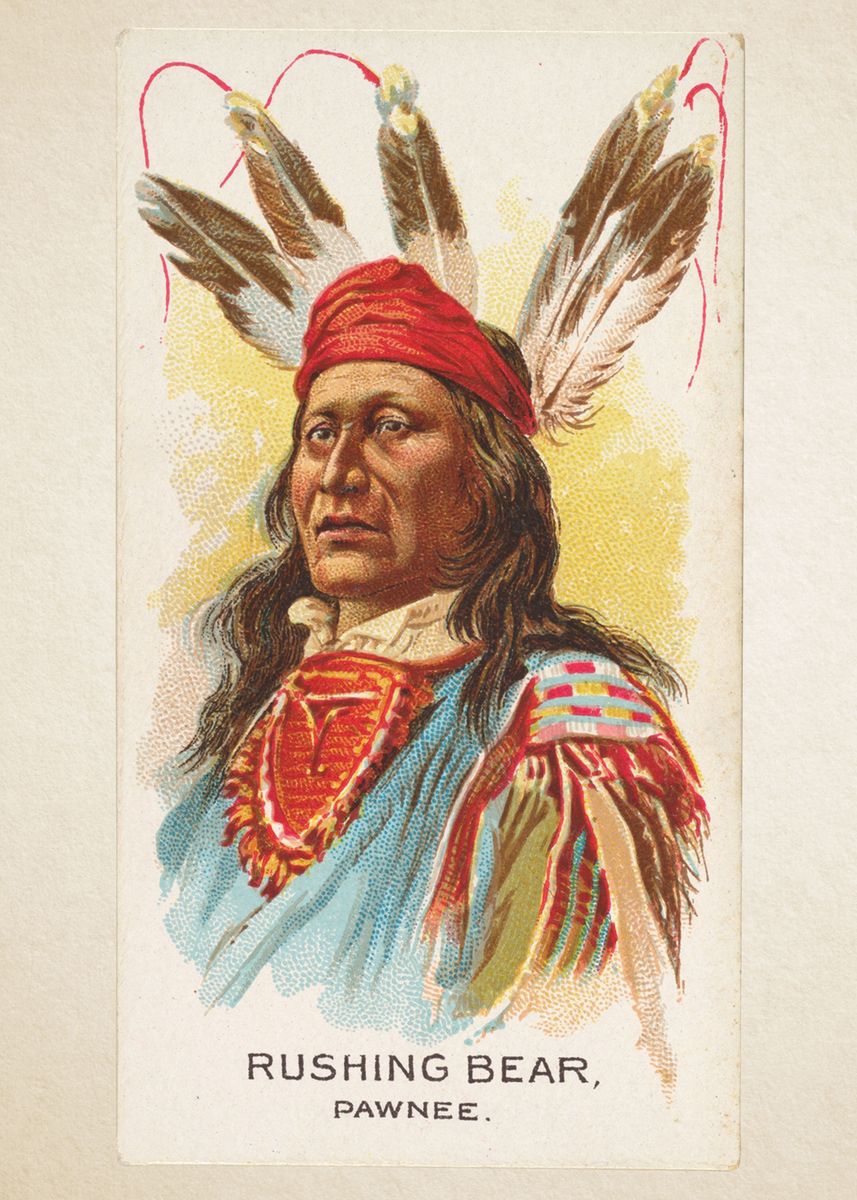 CORX Designs - Indigenous Native American Chief Canvas Art - Review