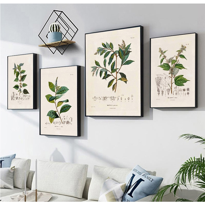 CORX Designs - Botanical Studies Wall Art Canvas - Review