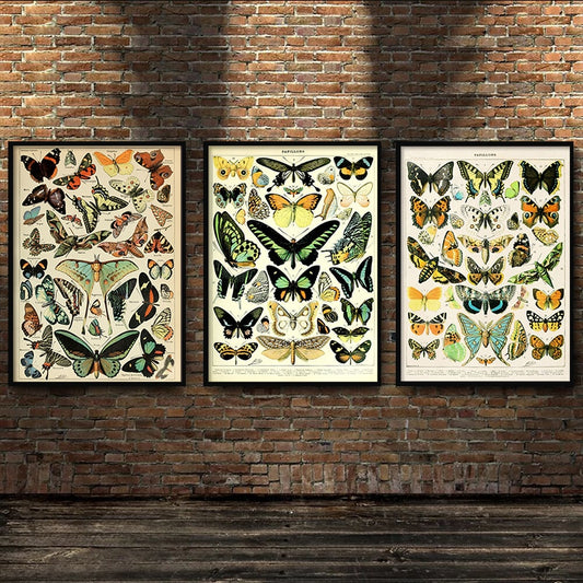 CORX Designs - Vintage Butterfly Canvas Art - Review