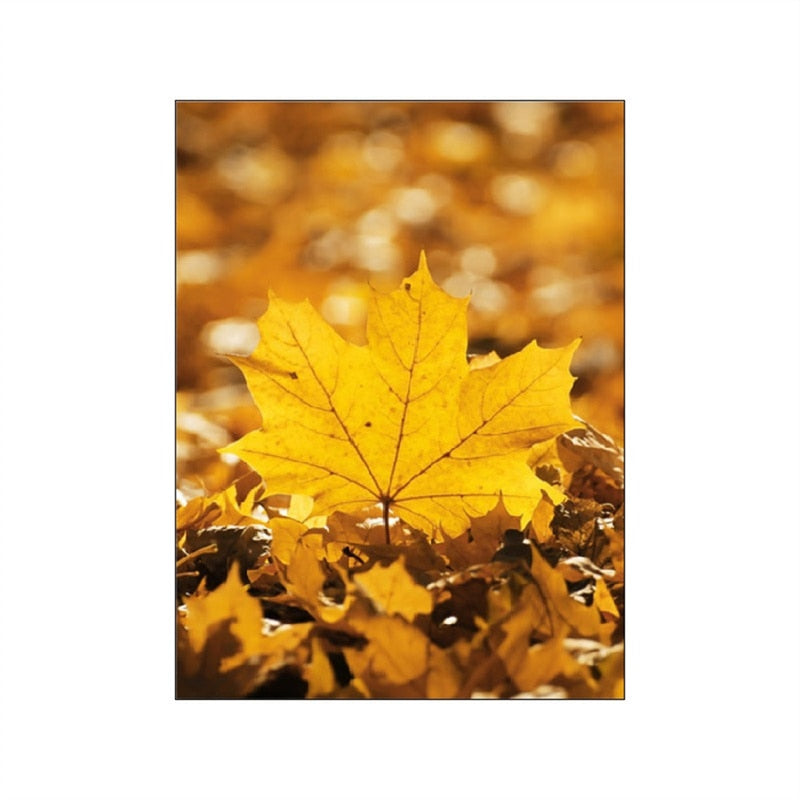 CORX Designs - Autumn Forest Pumpkin Maple Leaves Canvas Art - Review