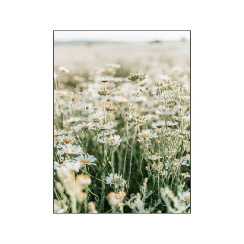 CORX Designs - Spring Morning Sunrise Sunflower Canvas Art - Review