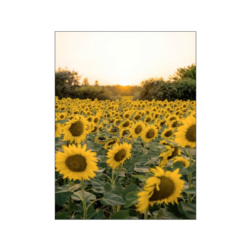 CORX Designs - Spring Morning Sunrise Sunflower Canvas Art - Review