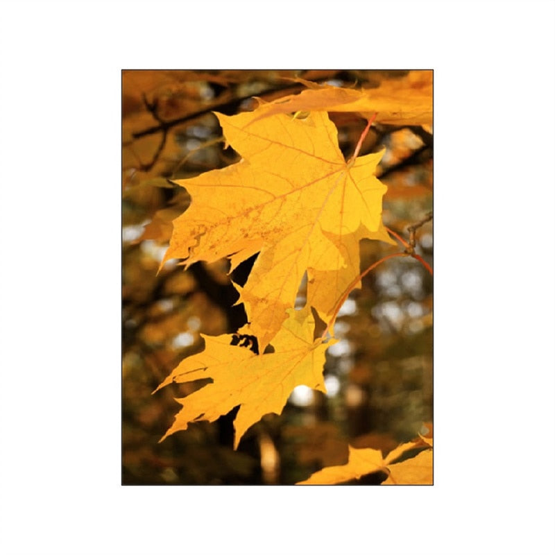 CORX Designs - Autumn Forest Pumpkin Maple Leaves Canvas Art - Review