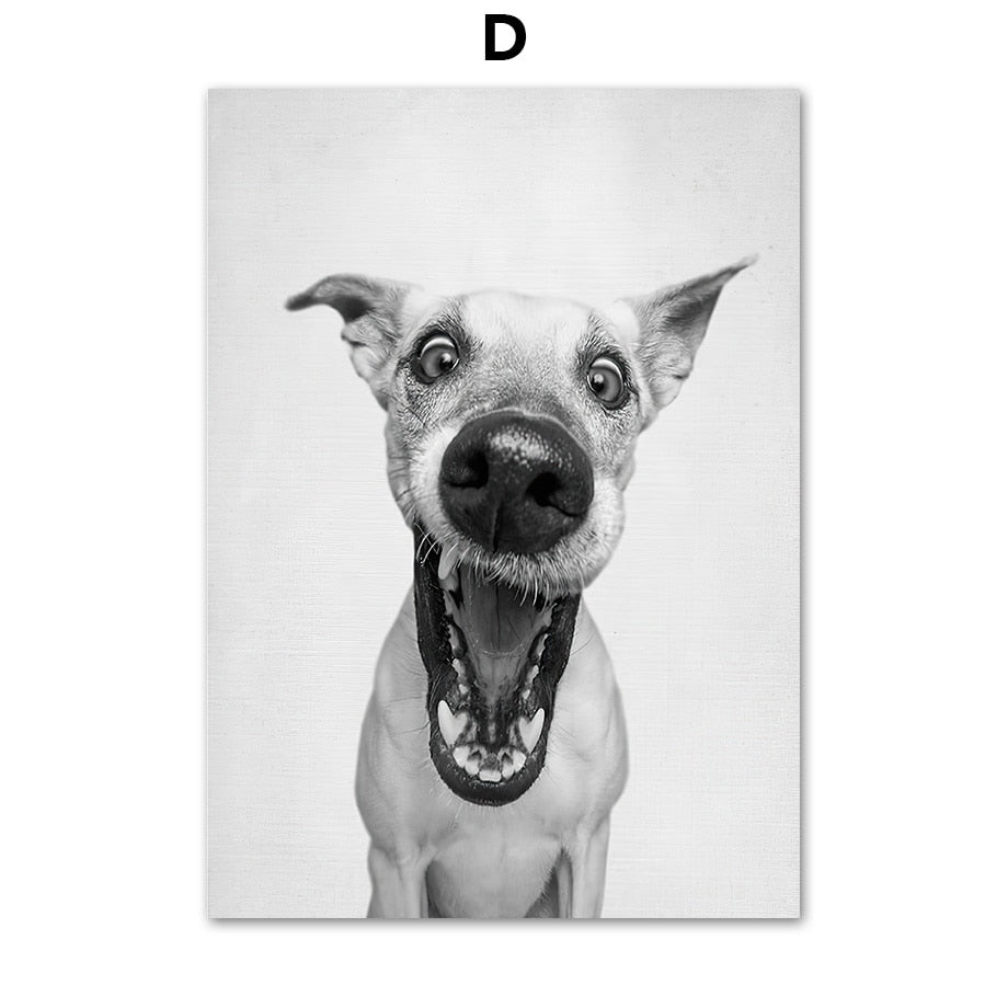 CORX Designs - Black and White Cute Dog Canvas Art - Review