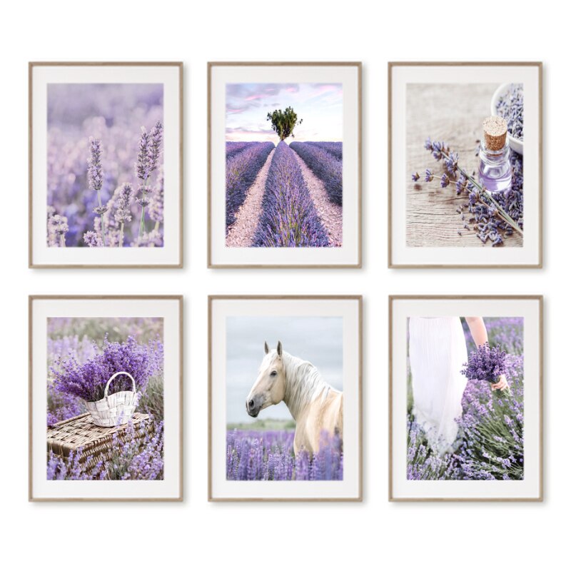 CORX Designs - Provence Purple Lavender Canvas Art - Review