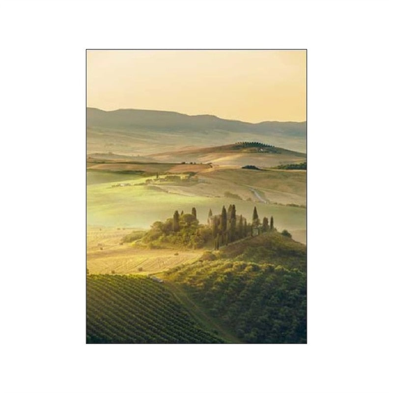 CORX Designs - Spring Morning Sunrise Sunflower Canvas Art - Review
