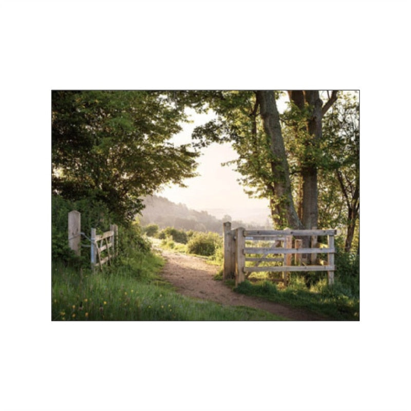 CORX Designs - Spring Morning Sunrise Sunflower Canvas Art - Review
