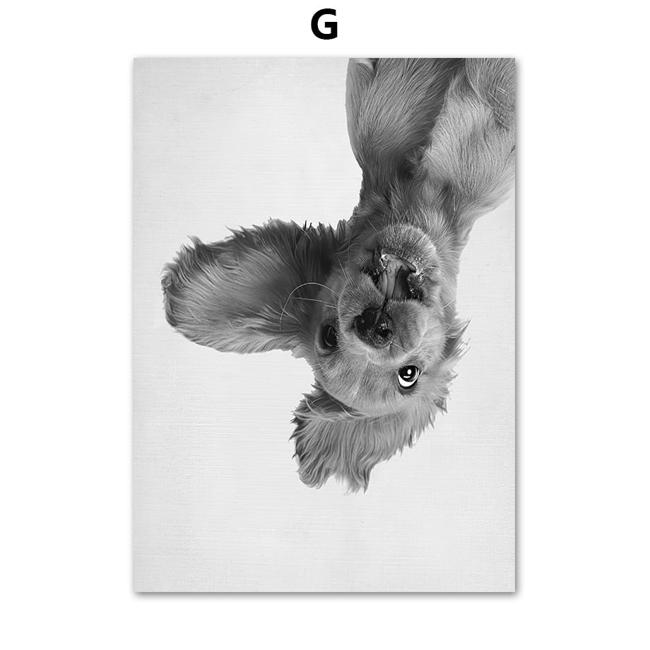 CORX Designs - Black and White Cute Dog Canvas Art - Review