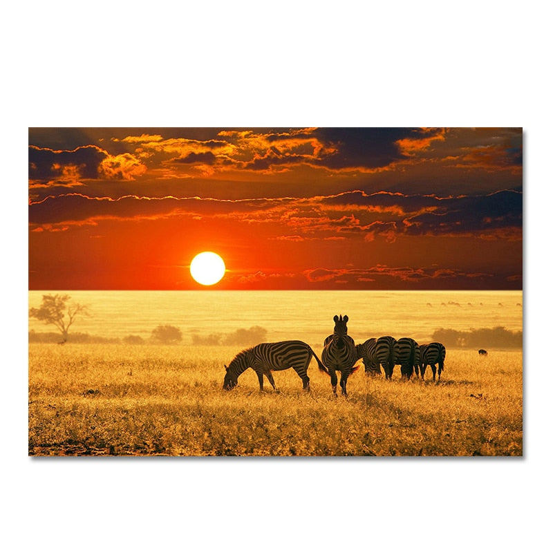 CORX Designs - African Zebra Sunset Canvas Art - Review