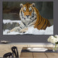 CORX Designs - Wild Tiger Wall Art Canvas - Review