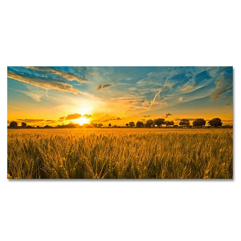CORX Designs - Wheat Field Sunset Landscape Canvas Art - Review