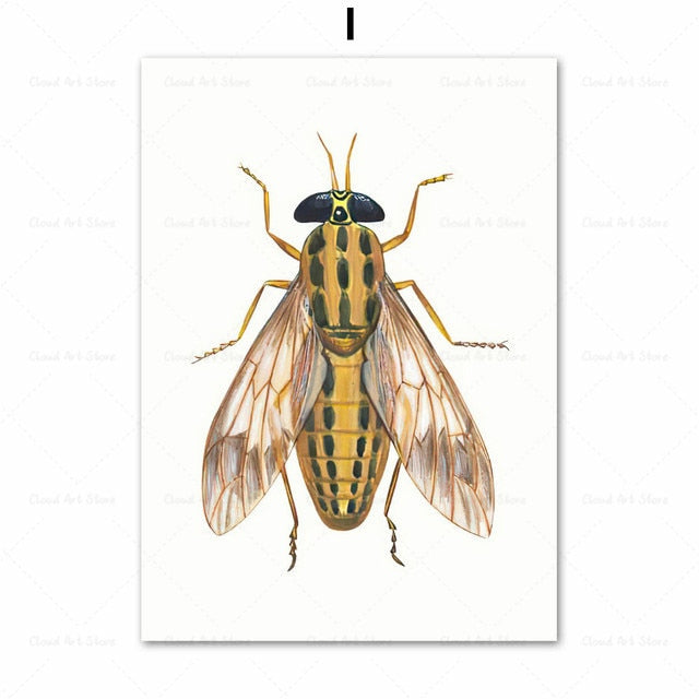 CORX Designs - Beetle Insect Bee Nursery Room Canvas Art - Review