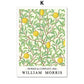CORX Designs - William Morris Plant Leaf Bird Botanical Wall Art Canvas - Review