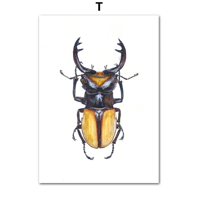 CORX Designs - Insect Beetle Collection Watercolor Wall Art Canvas - Review
