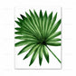 CORX Designs - Tropical Green Monstera Leaf Canvas Art - Review