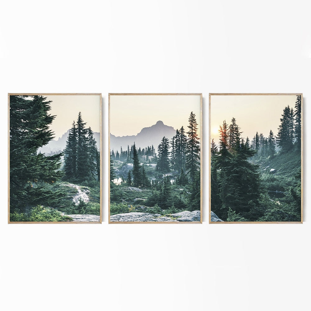 CORX Designs - Pine Tree Nature Landscape Canvas Art - Review