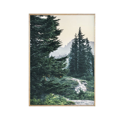 CORX Designs - Pine Tree Nature Landscape Canvas Art - Review