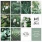 CORX Designs - White Tulip Monstera Plant Canvas Art - Review