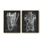 CORX Designs - Human Anatomy Black Canvas Art - Review