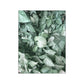 CORX Designs - White Tulip Green Aloe Plant Canvas Art - Review