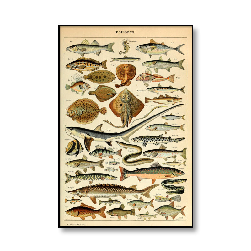 CORX Designs - Retro Ocean Sea Shell Fish Animal Canvas Art - Review