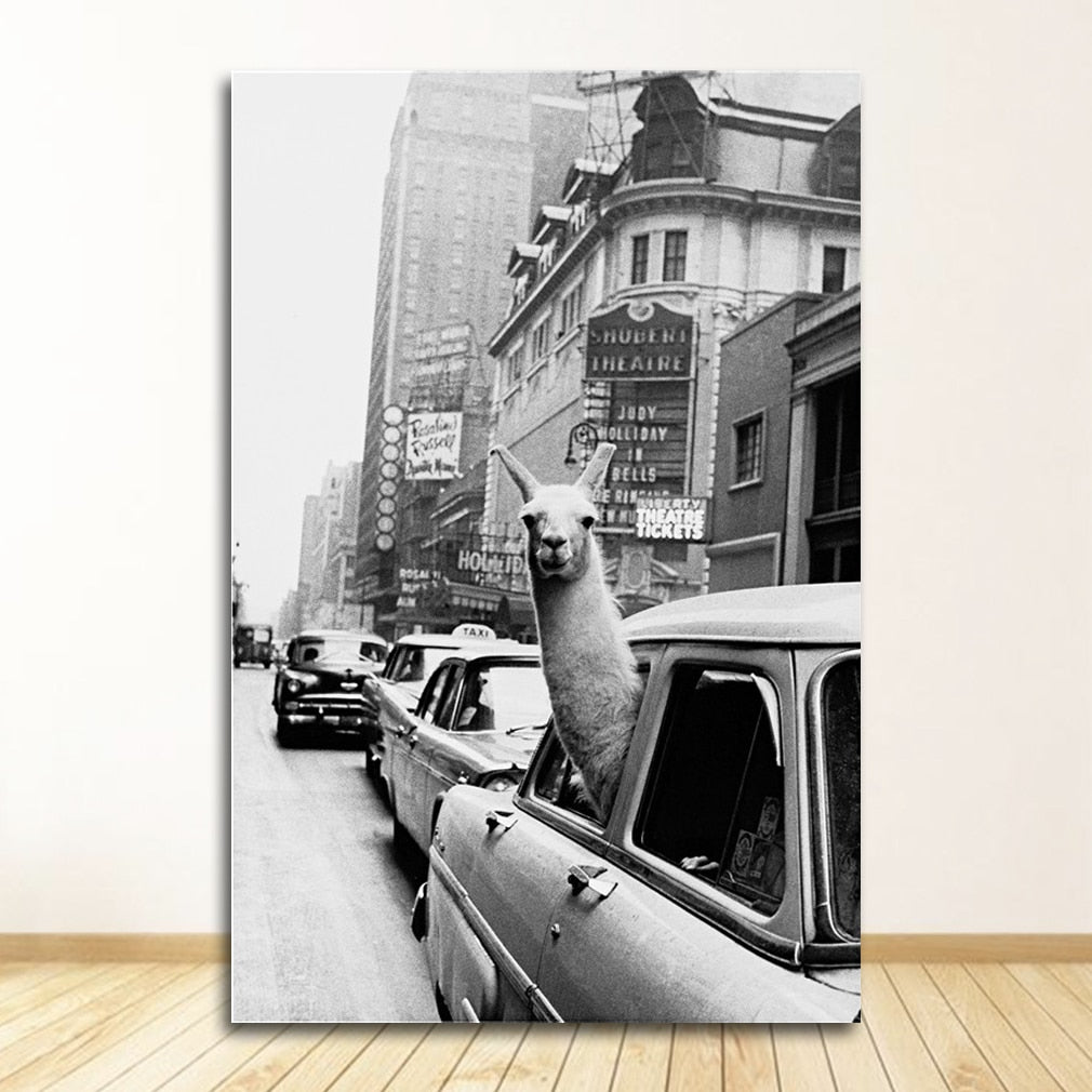 CORX Designs - Black and White Alpaca in the Car Canvas Art - Review