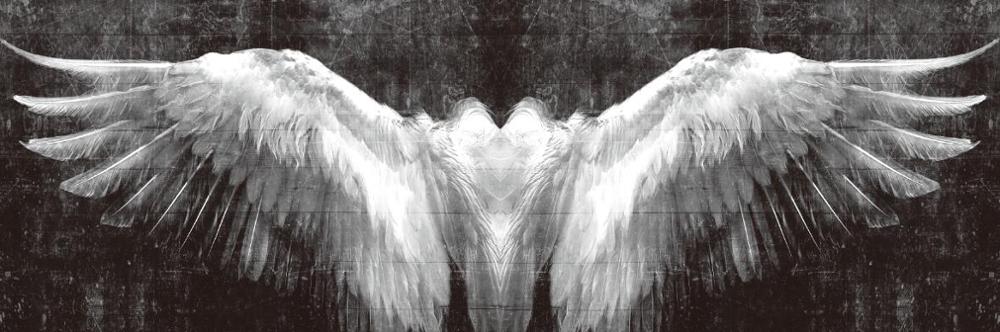 CORX Designs - Black And White Angel Wings Wall Art Canvas - Review