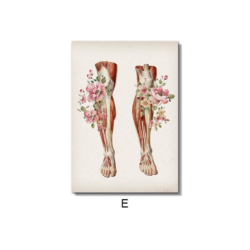 CORX Designs - Floral Skeletal Muscle Anatomy Canvas Art - Review
