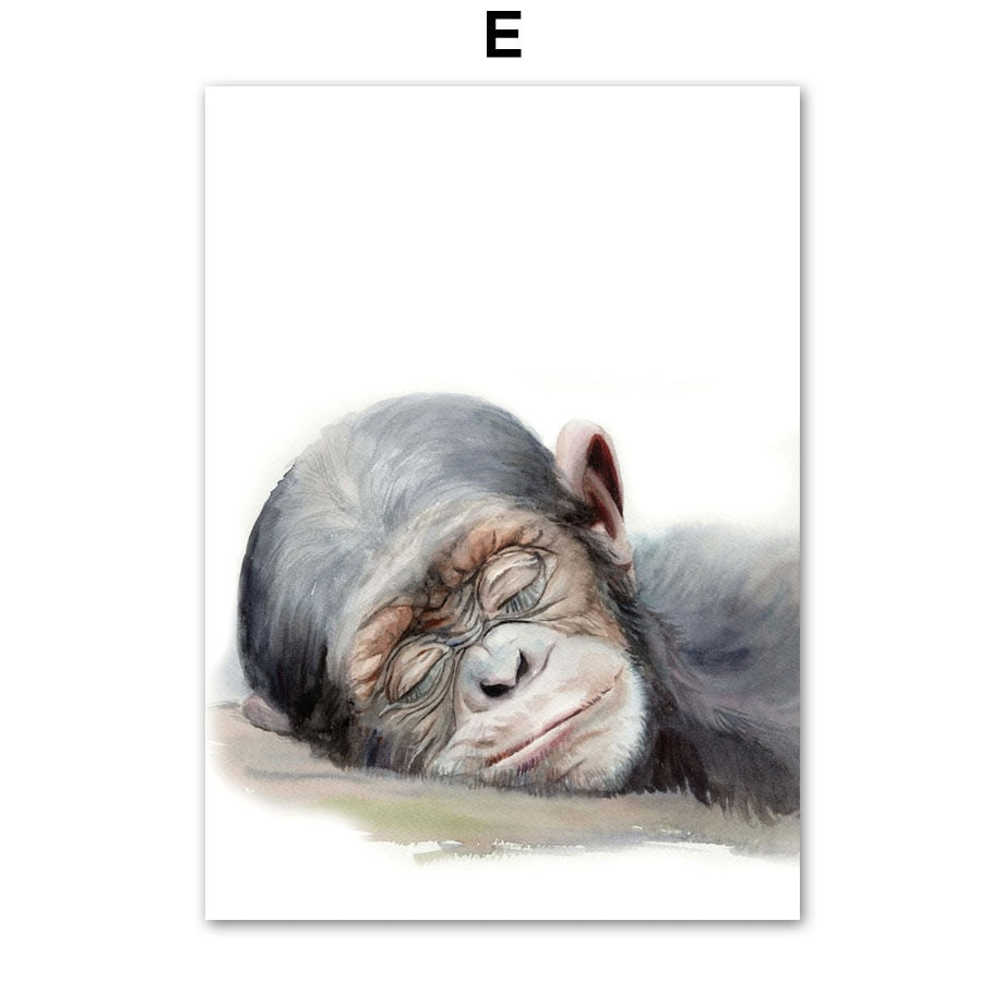 CORX Designs - Cute Sleeping Animal Canvas Art - Review