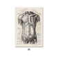 CORX Designs - Vintage Human Anatomy Canvas Art - Review