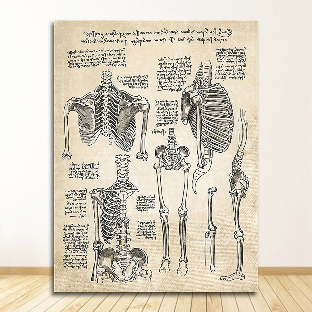 CORX Designs - Vintage Anatomy Canvas Art - Review