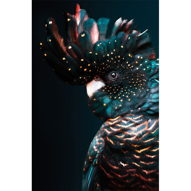 CORX Designs - Luxurious Black Navy Blue Cockatoo Bird Canvas Art - Review