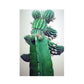 CORX Designs - Colorful Cactus Canvas Art - Review