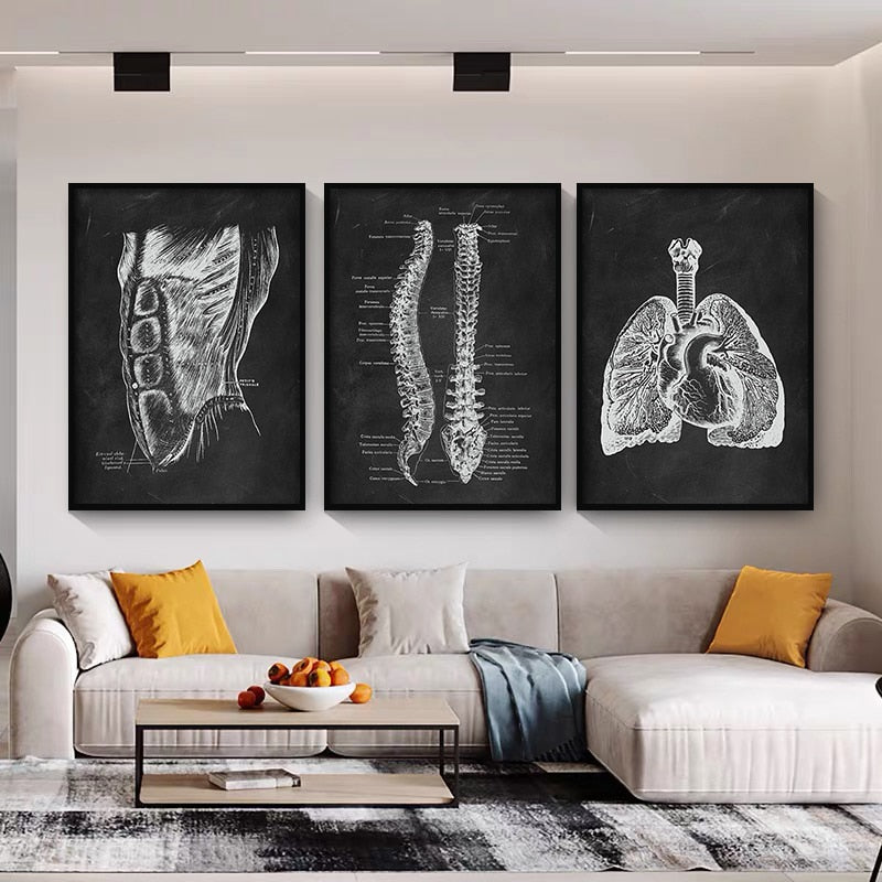 CORX Designs - Human Anatomy Black Canvas Art - Review