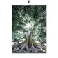 CORX Designs - Animal in Tropical Rainforest Canvas Art - Review